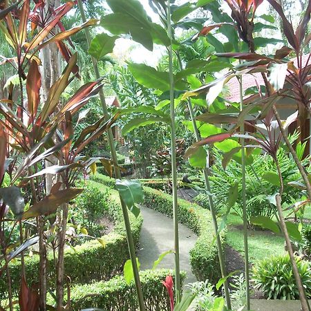 La Palapa Ecolodge Portalón 외부 사진