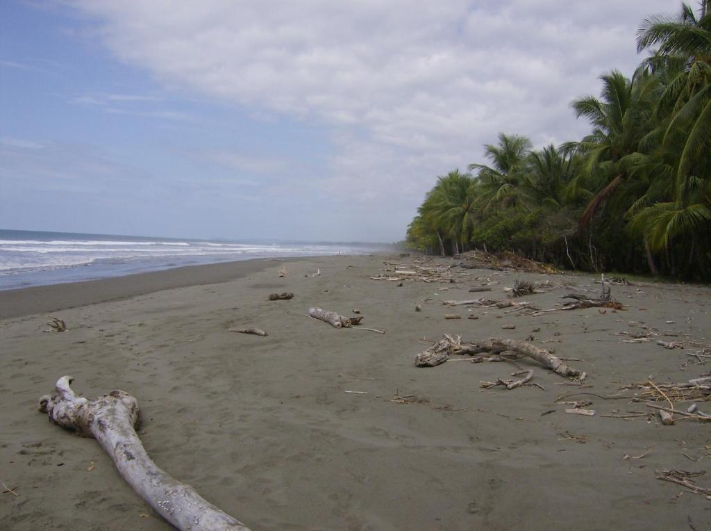 La Palapa Ecolodge Portalón 외부 사진