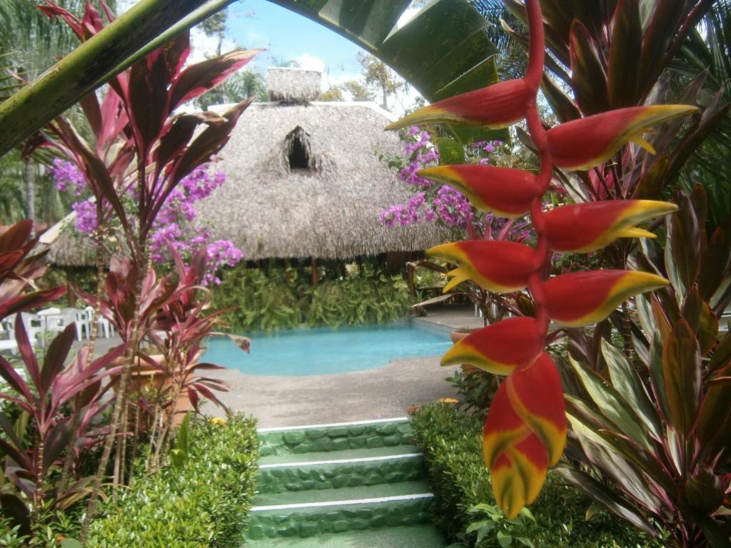 La Palapa Ecolodge Portalón 외부 사진