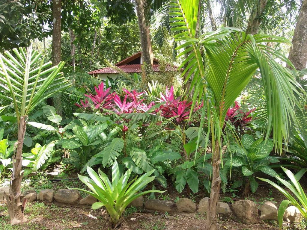 La Palapa Ecolodge Portalón 외부 사진